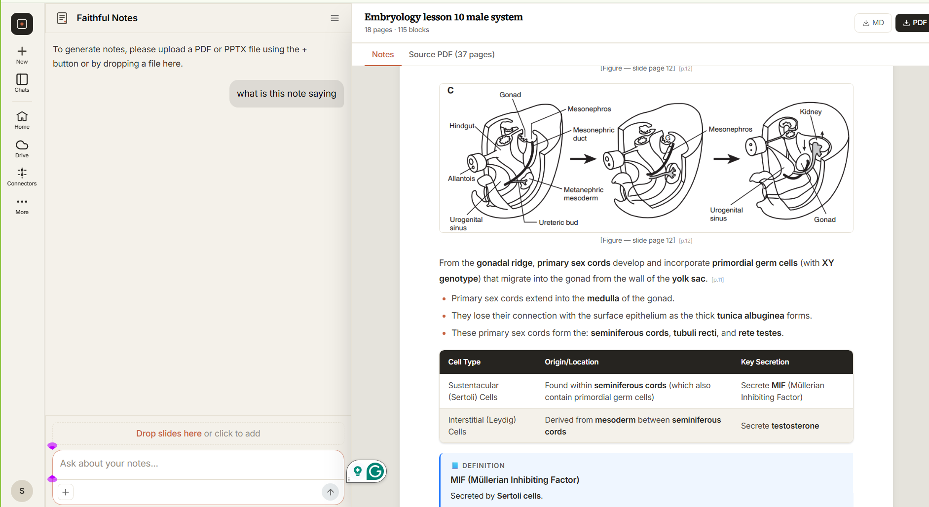 Split view: a chat pane on the left, generated study notes on the right with an embryology figure, a data table and page references back to the source slides.