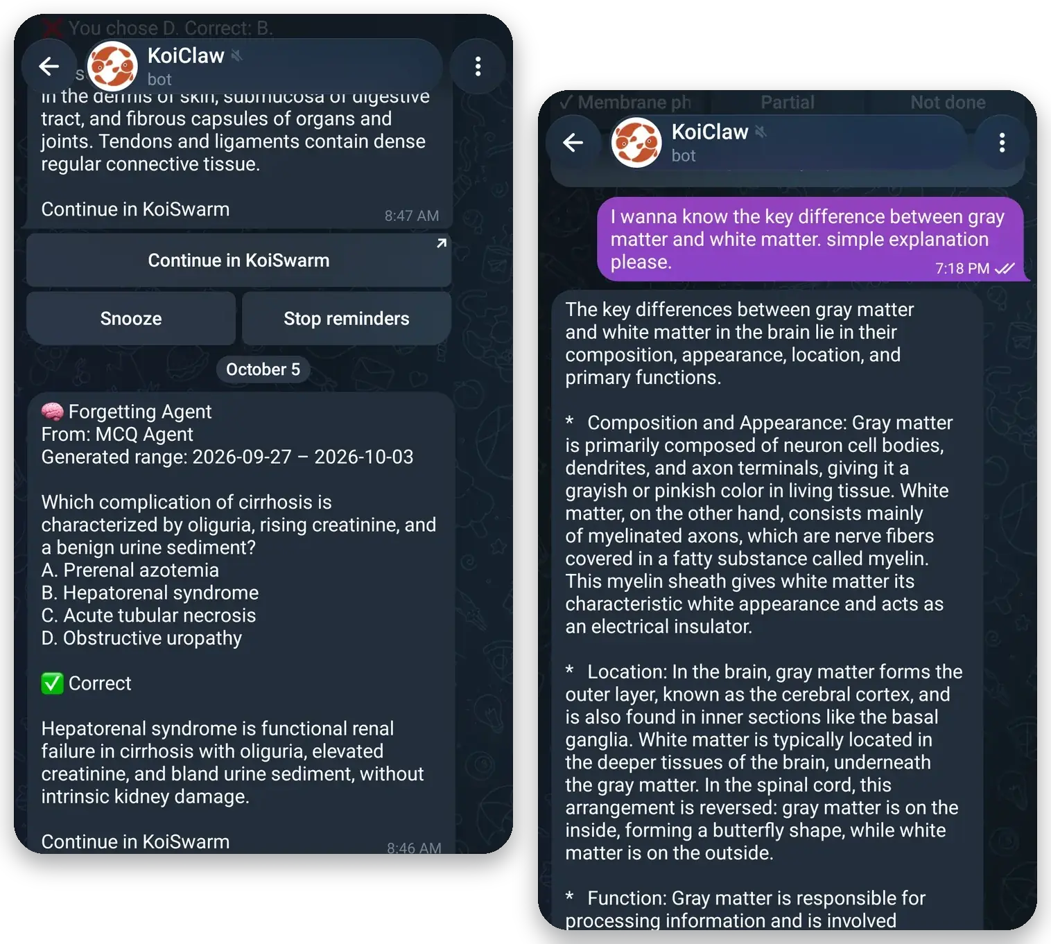 Two KoiClaw chats in Telegram: a Forgetting review question on hepatorenal syndrome with Snooze and Stop buttons, and a plain answer on grey versus white matter.